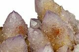 Sparkling Cactus Amethyst Crystal Cluster - South Africa #301880-2